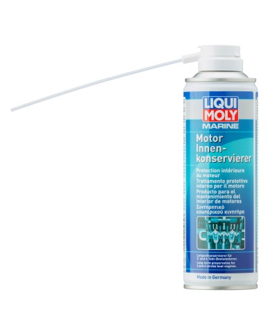Protection intérieure du moteur 300 ml