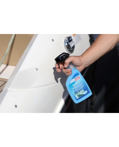 Spray nettoyant, 500ml
